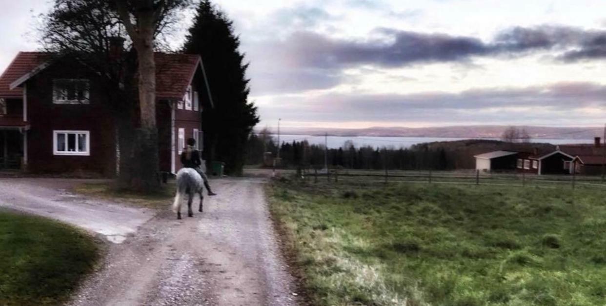 Det Gamla Panget Vila Tällberg Exterior foto