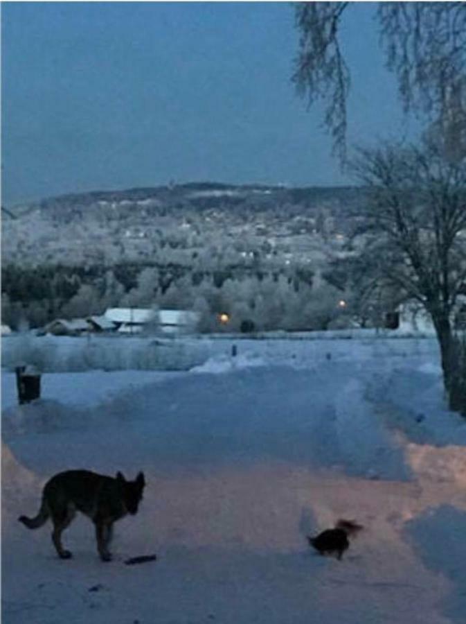 Det Gamla Panget Vila Tällberg Exterior foto