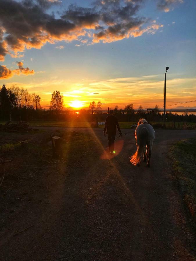 Det Gamla Panget Vila Tällberg Exterior foto