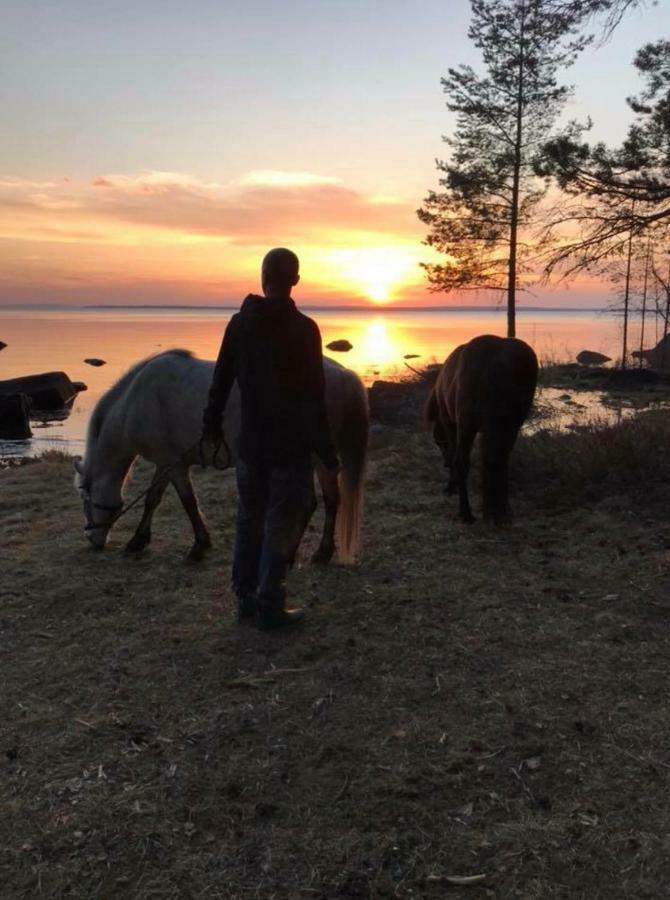 Det Gamla Panget Vila Tällberg Exterior foto